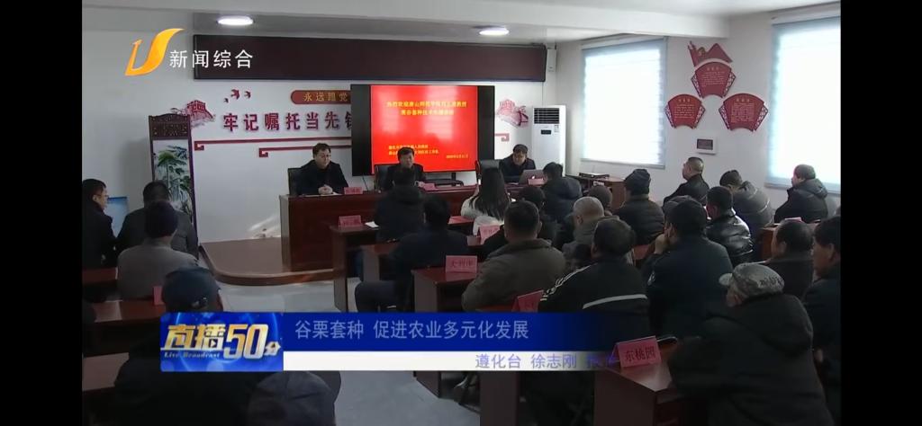 《唐山广播电视台》——万象城awcsport官网：谷栗套种 促进农业多元化发展